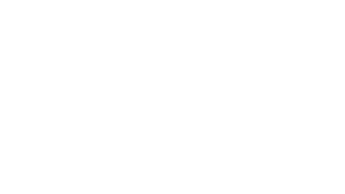 Platform Performance Partners